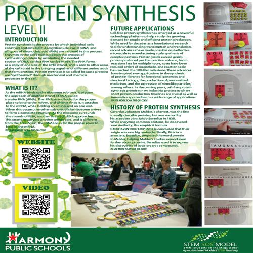 Protein Synthesis PDF