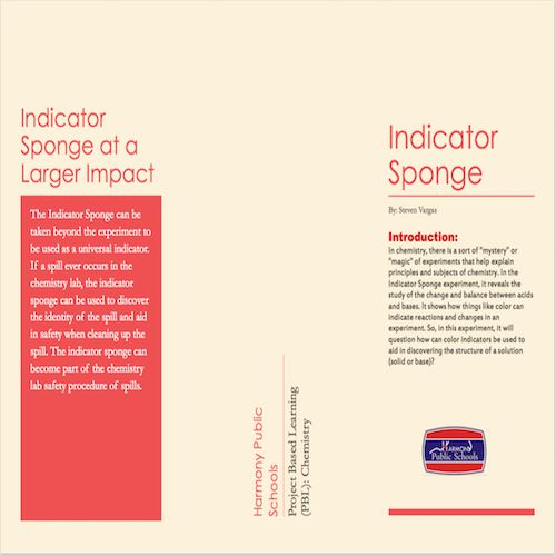 Indicator Sponge PDF